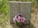 image of grave number 102869